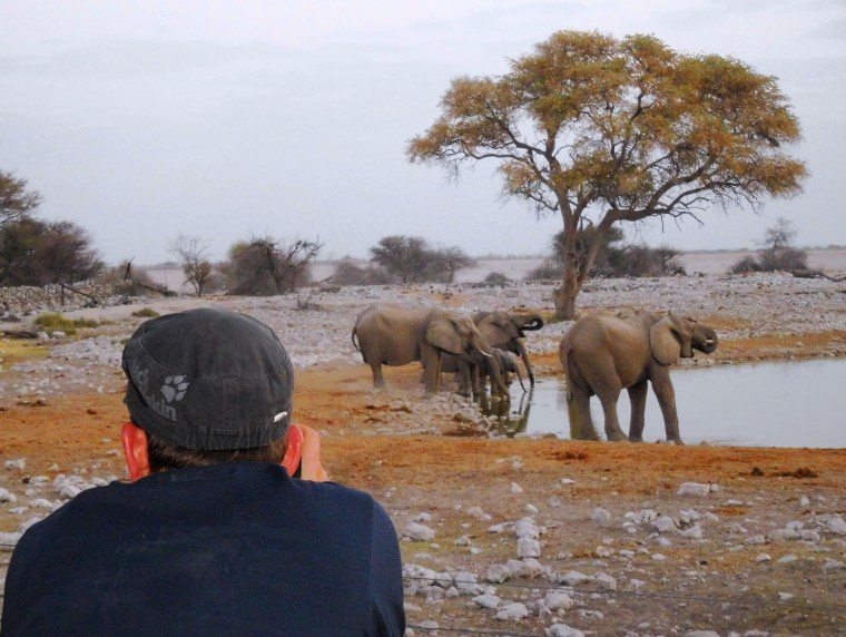 Elefanten am Wasserloch im Etosha-Nationalpark, Namibia