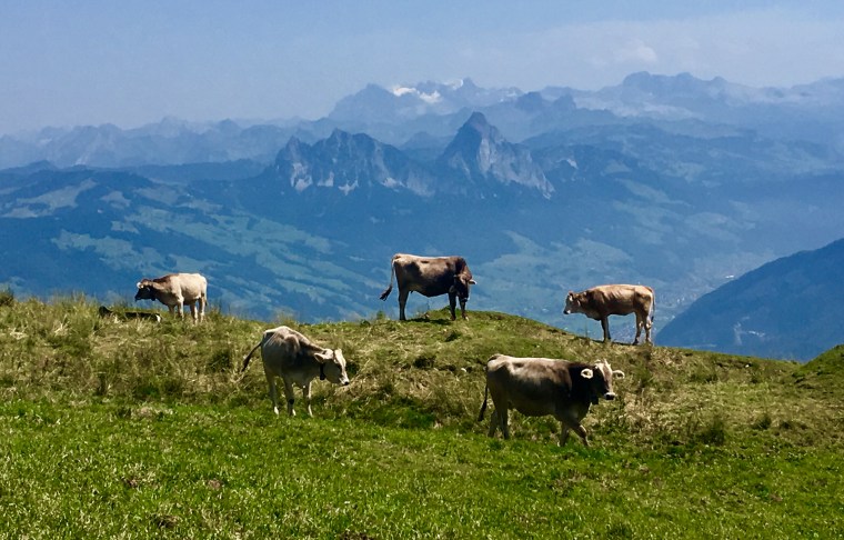 Foto 01.08.17, 13 51 50