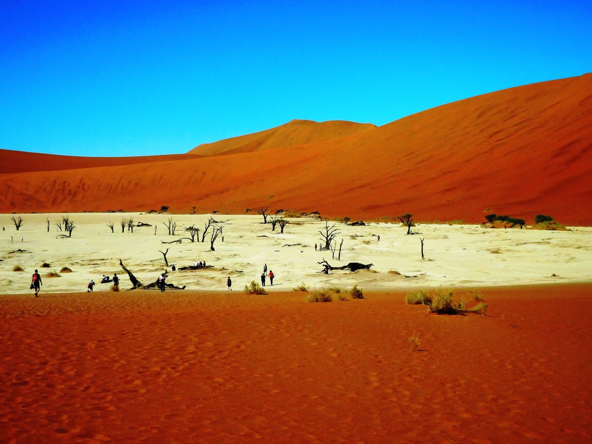 Bike-Safari durch Namibia