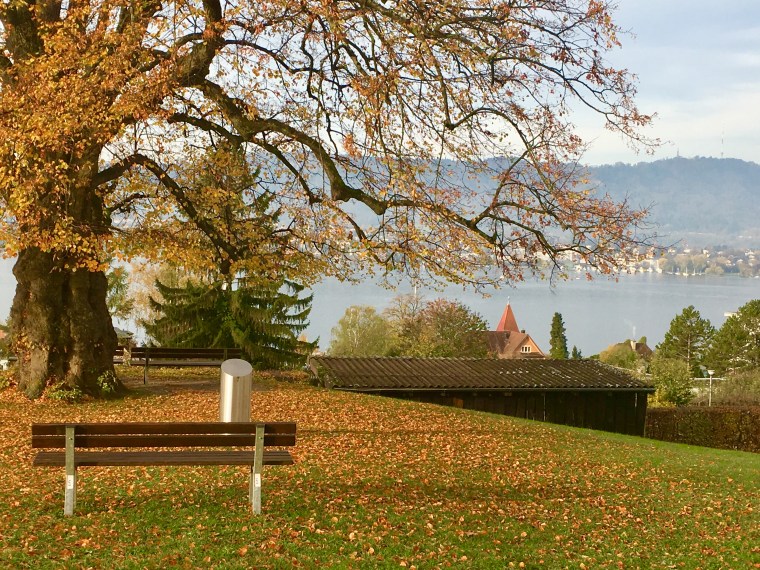 Foto 28.10.17, 09 34 36