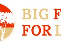 Safari zu den «BIG FIVE FOR LIFE» nach John&nbsp;Strelecky