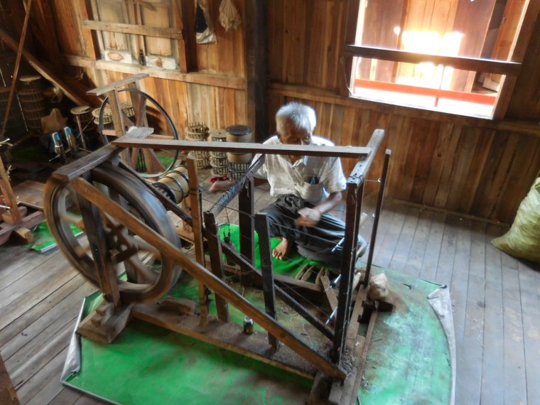 alter Burmese spinnt Faden