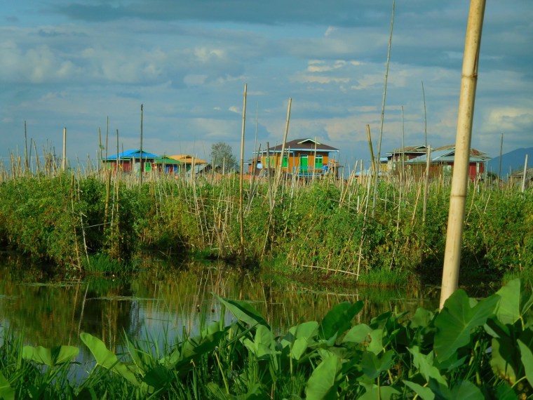 Schwimmende Gärten auf dem Inle See, Myanmar/Burma