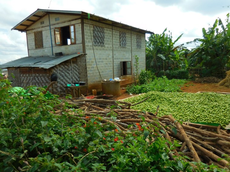 Bauernhof mit Tomatenlager in Myanmar/Burma