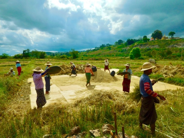 Reisverarbeitung in Myanmar/Burma