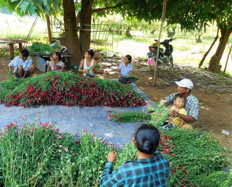 Foto 27.11.17, 05 55 44