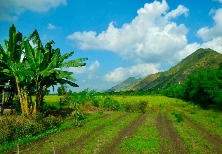 Üppige Landschaft in Myanmar/Burma
