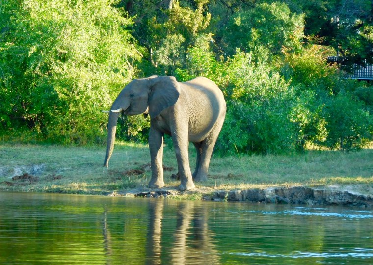 Foto 17.04.18, 17 03 10