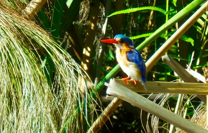 Foto 22.04.18, 09 07 16 (1)