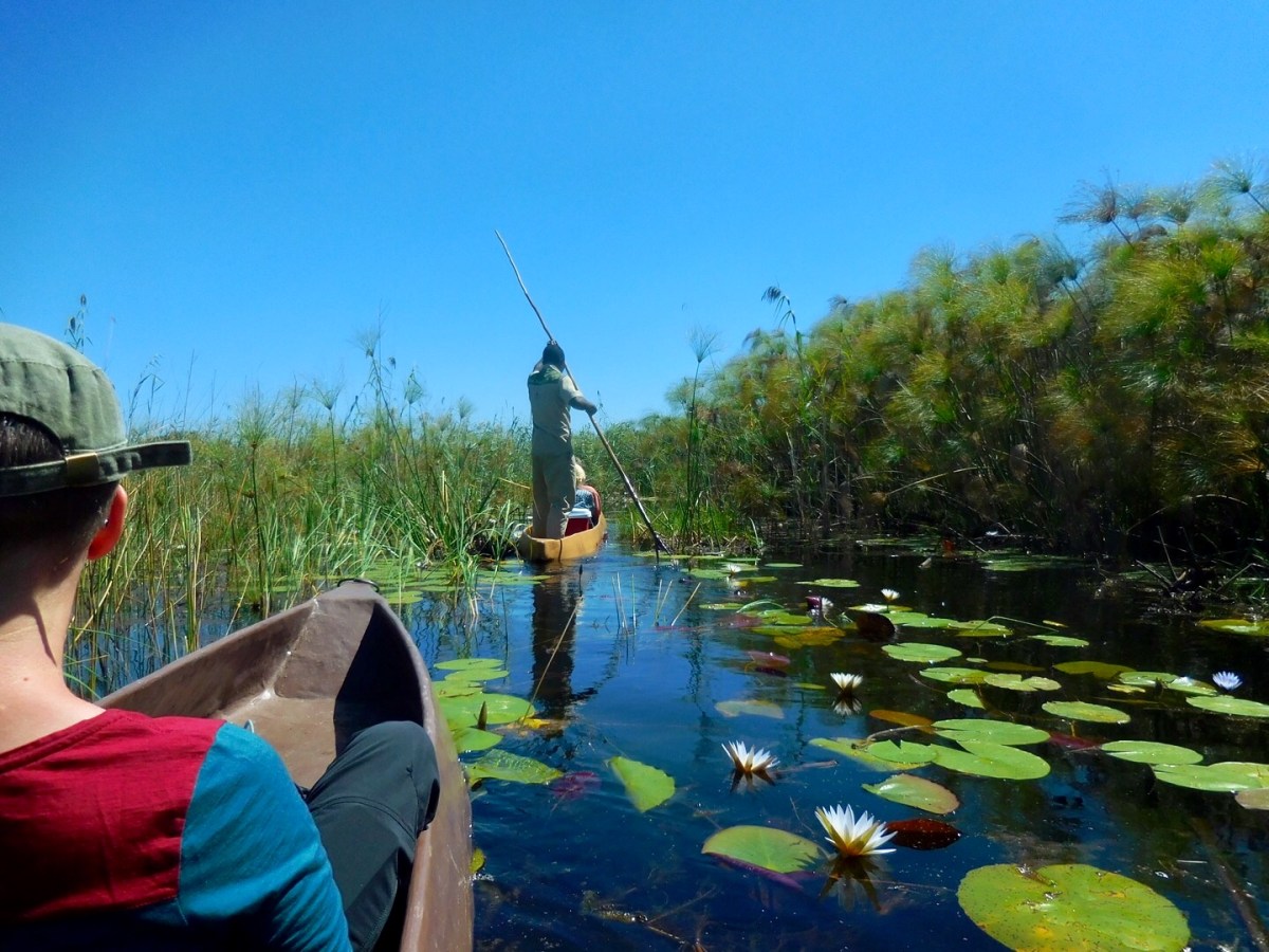 Best of Botswana: Okavangodelta und Chobe&nbsp;Nationalpark