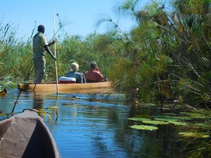 Foto 22.04.18, 12 43 15