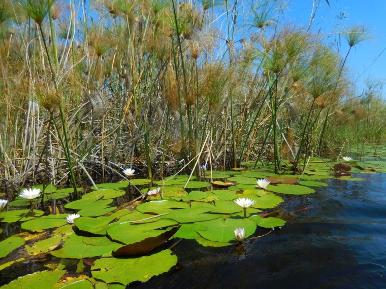 Foto 22.04.18, 12 57 52