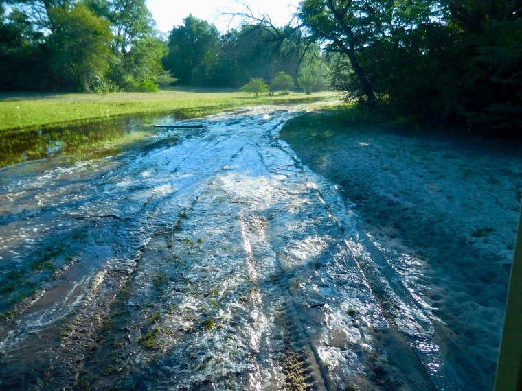 Foto 23.04.18, 08 28 51