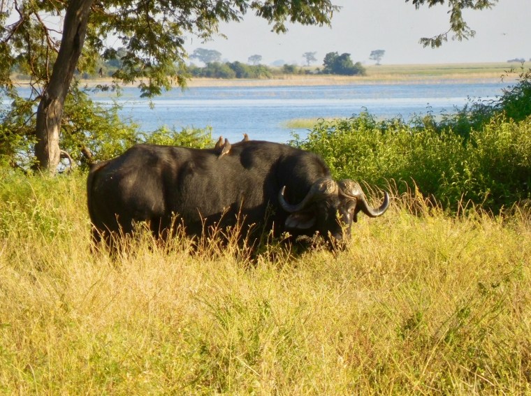 Foto 25.04.18, 07 51 52