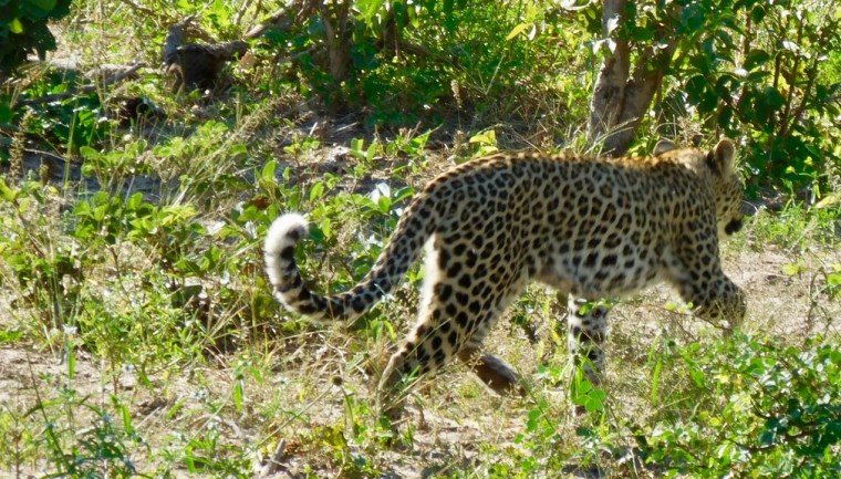 Foto 25.04.18, 09 08 51