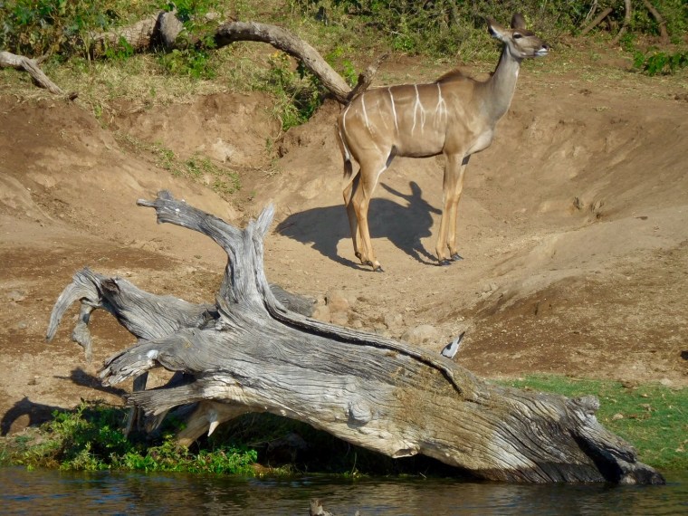 Foto 25.04.18, 16 07 22