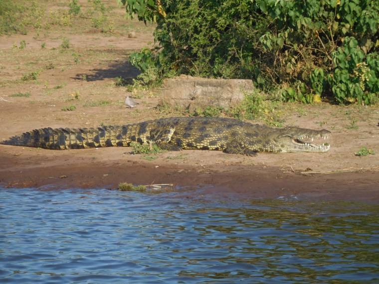 Foto 25.04.18, 16 24 17