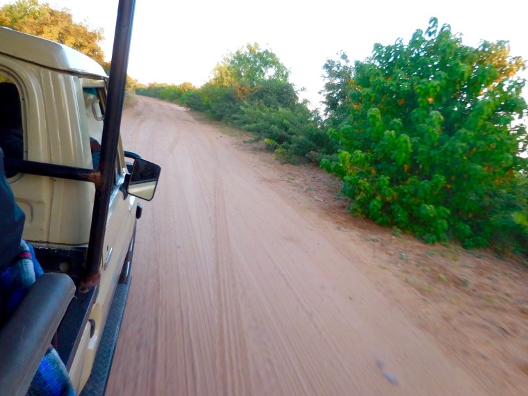 Foto 26.04.18, 06 41 43