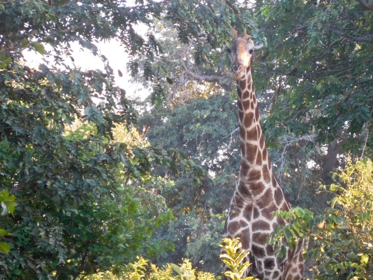 Foto 26.04.18, 06 55 30