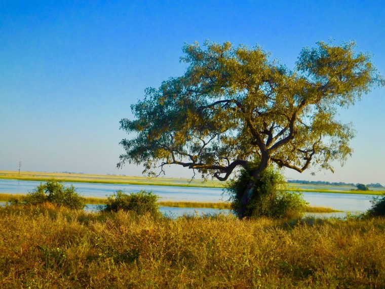 Foto 26.04.18, 07 27 16