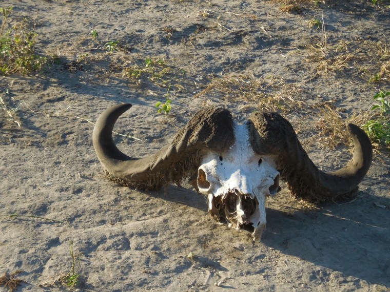 Foto 26.04.18, 07 32 09