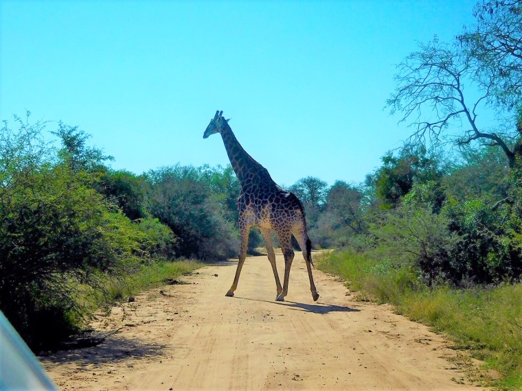 Foto 01.06.18, 11 00 37