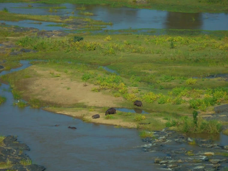 Foto 02.06.18, 13 36 39