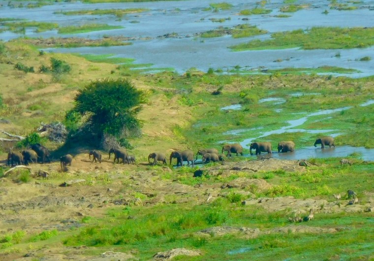 Foto 02.06.18, 14 08 06