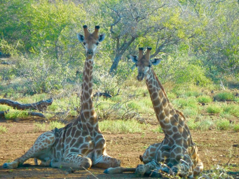 Foto 02.06.18, 14 58 15