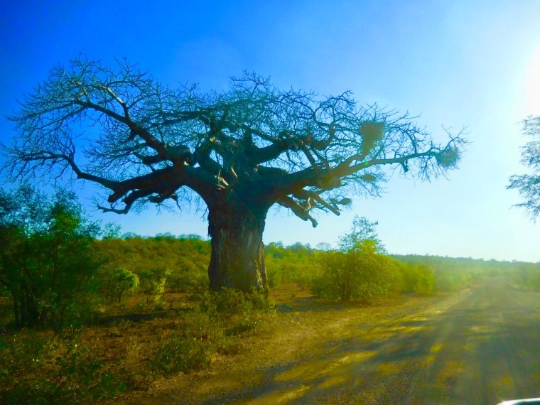 Foto 02.06.18, 15 16 36