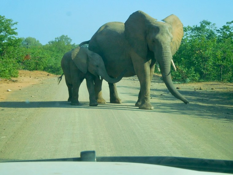 Foto 03.06.18, 09 05 42