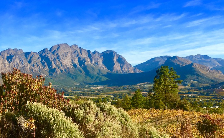 Foto 05.05.18, 16 50 21