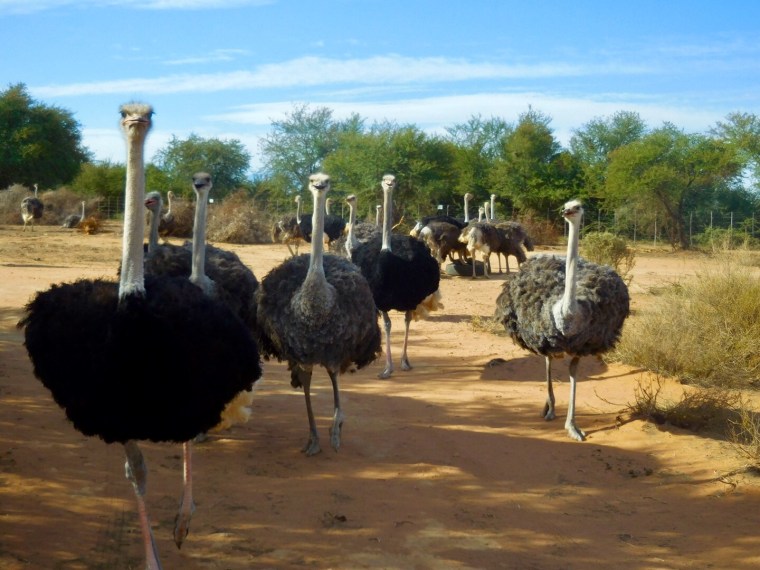 Foto 07.05.18, 14 32 21