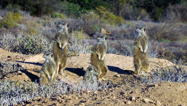 Foto 08.05.18, 08 16 41-1