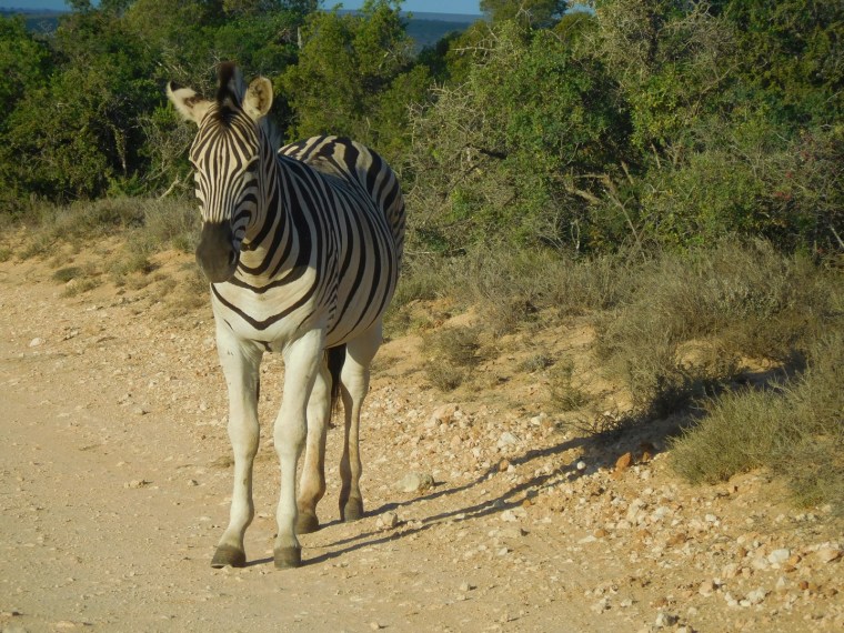 Foto 12.05.18, 16 07 18.jpg