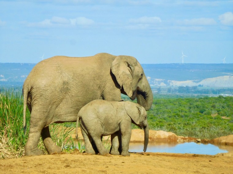 Foto 13.05.18, 10 48 57