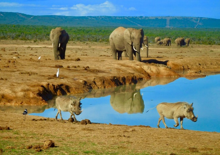 Foto 13.05.18, 11 06 49