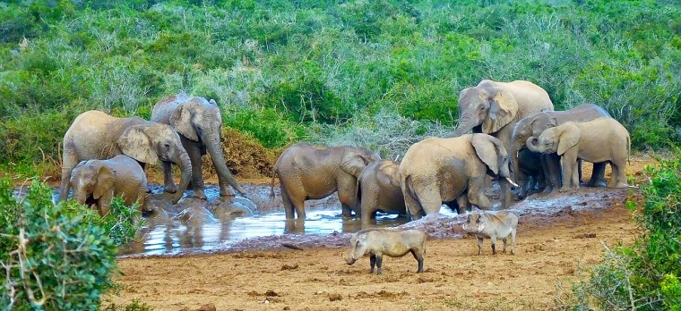 Foto 13.05.18, 13 02 41