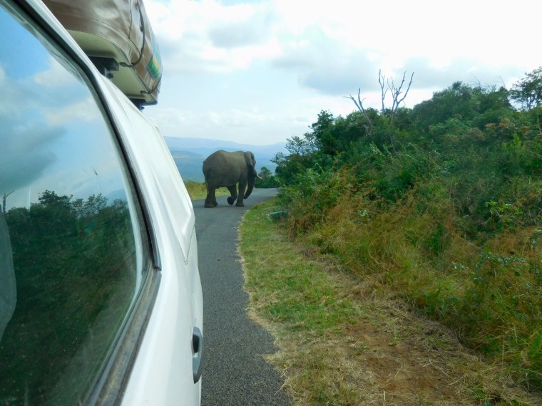 Foto 25.05.18, 12 48 43