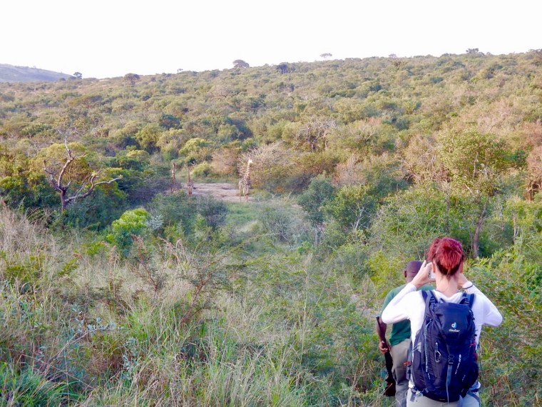 Foto 25.05.18, 16 23 41.jpg