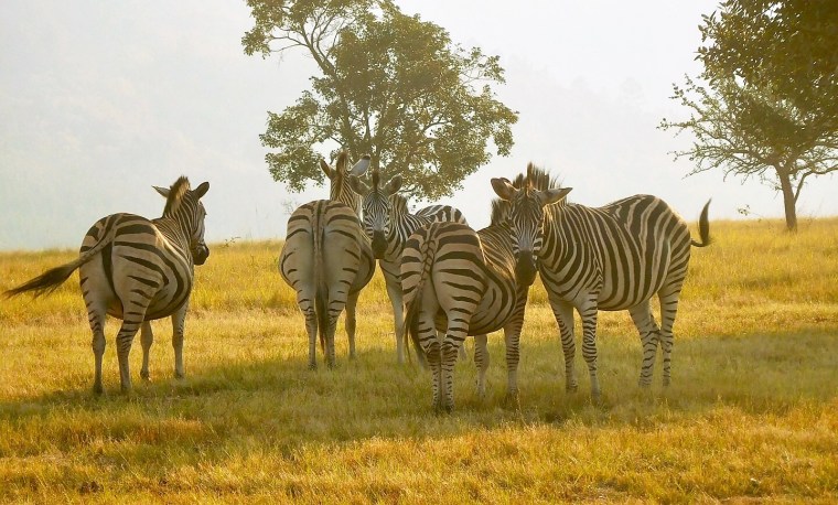 Foto 28.05.18, 15 55 07.jpg