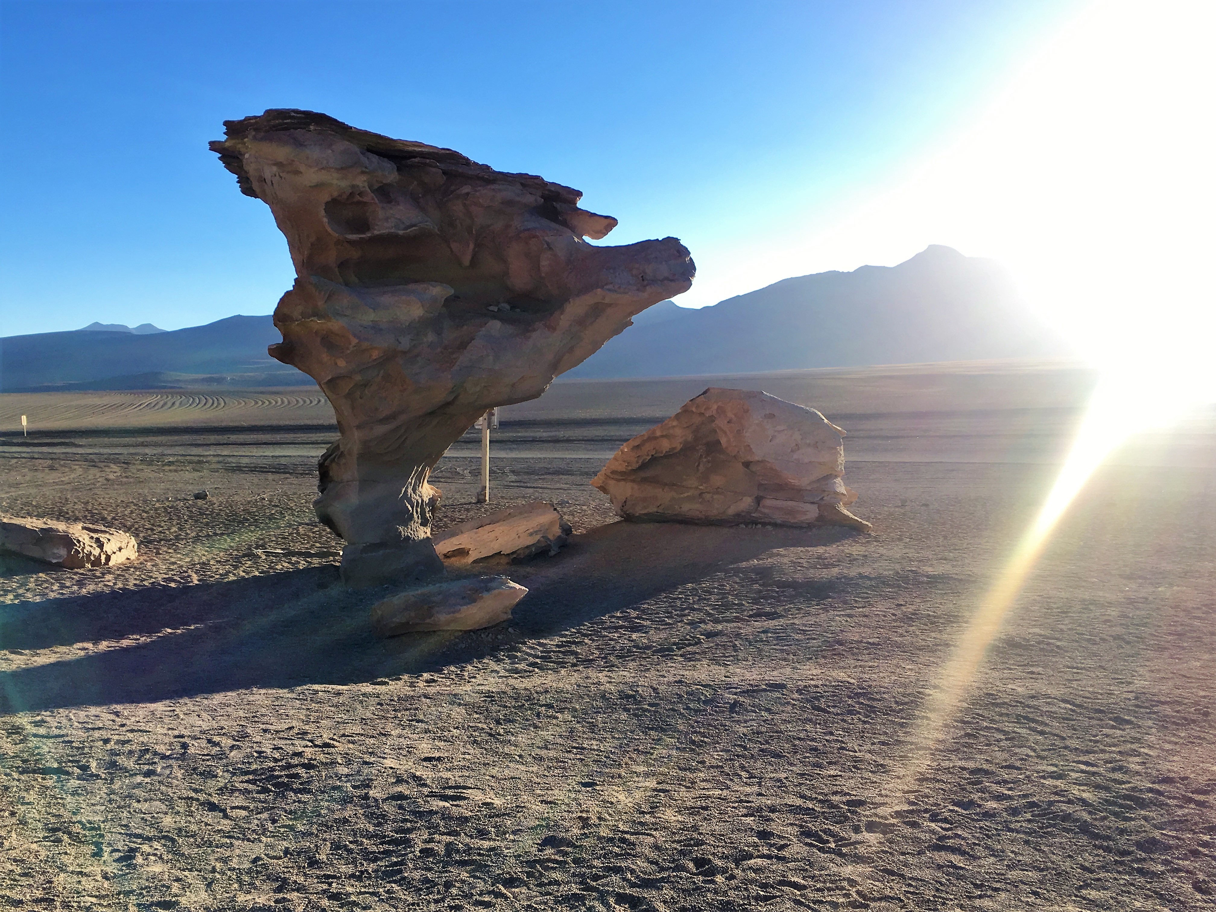 Arbol de Piedra (Baum aus Stein)