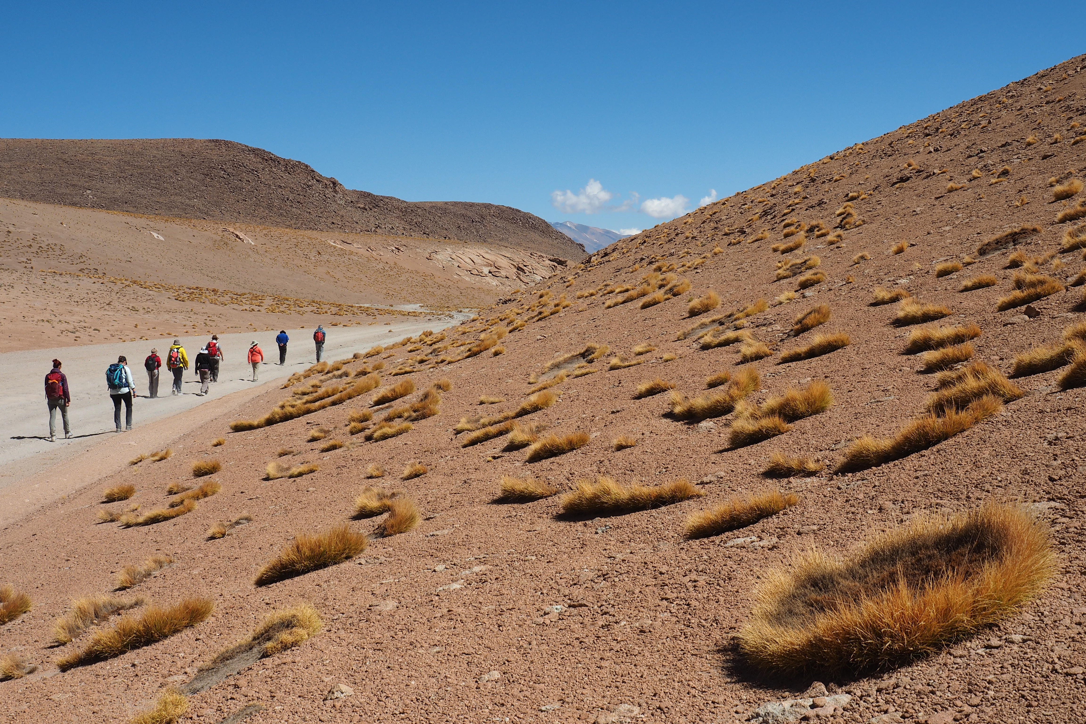 Wanderung Altiplano