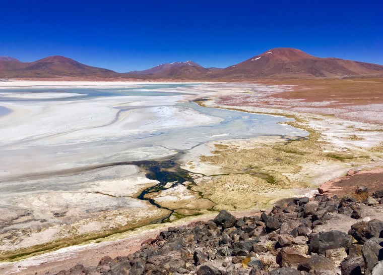 Salar de Talar, Atacama