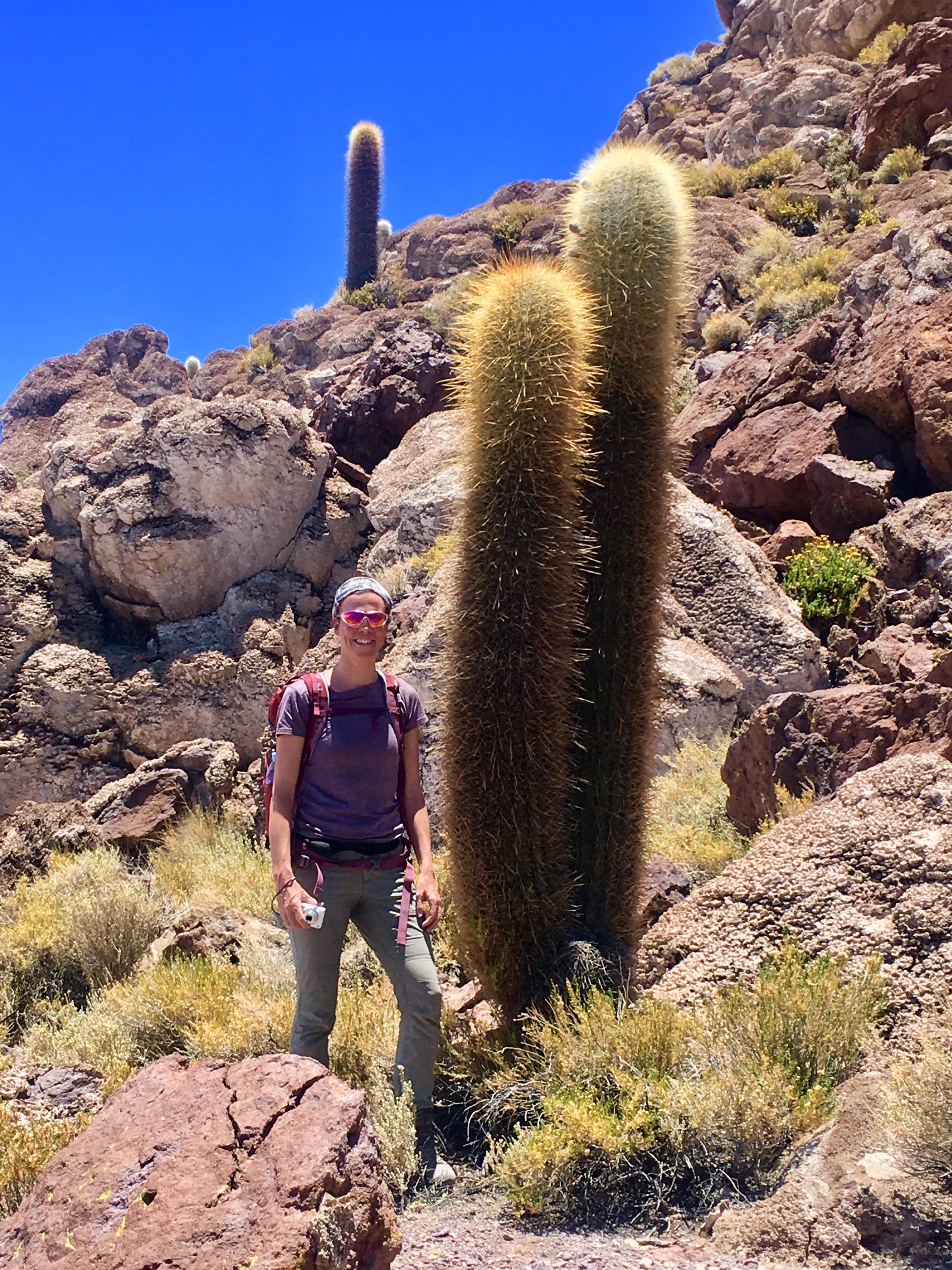 Foto 09.11.18, 17 08 02