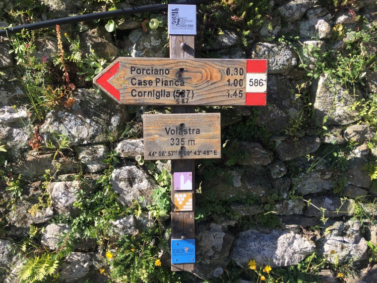 Foto 07.04.19, 16 46 23