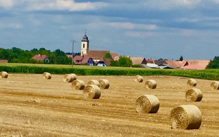 Foto 30.07.19, 13 29 50