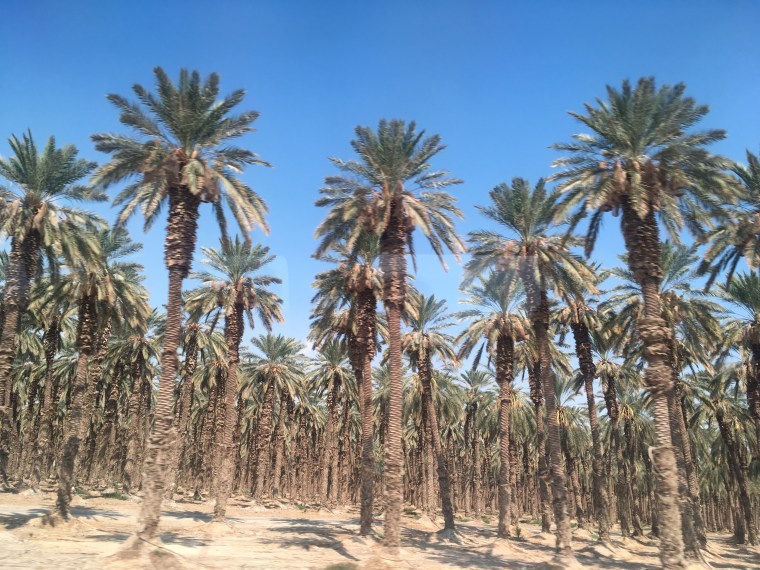 Foto 09.09.19, 09 11 17